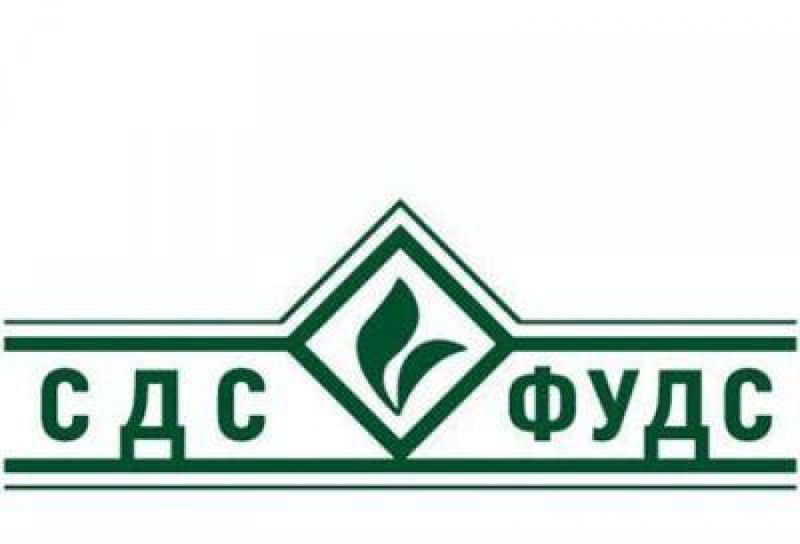 Sds рамка для номера. Притомский проспект 7/7 кемерово. Сдс sqs. Сибирский деловой союз логотип. Сдс.